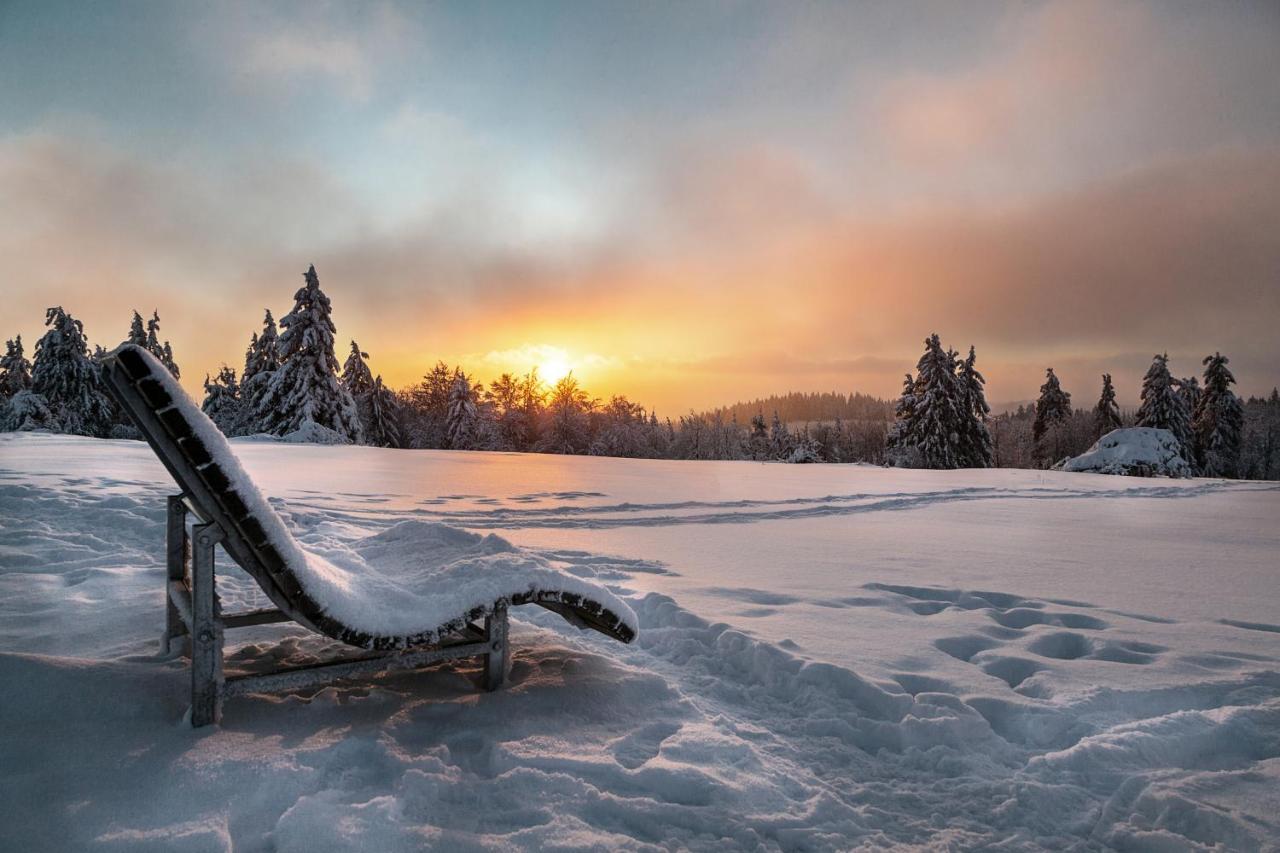 The Suite Winterberg Deluxe - Exklusive Ausstattung, Bestlage Zwischen Skikarussell Und Marktplatz, Eigener Garten, Ski- Und Fahrradraum, Ruhige Suedausrichtung, Wlan, Hundefreundlich Exterior foto